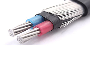 Concentric Cable