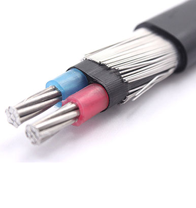 Concentric Cable